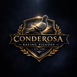 Conderosa Racing Pigeons