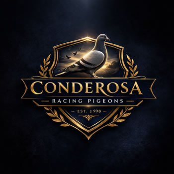 Conderosa Racing Pigeons
